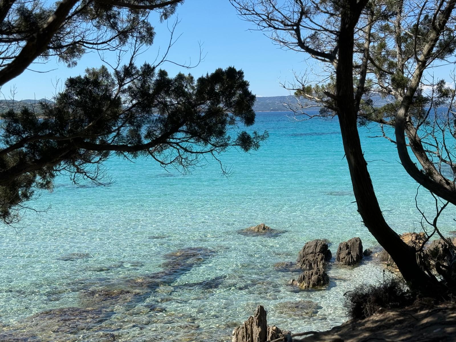 afbeelding van whatsapp op 2025 11 16 om 15.35.20 623690bc